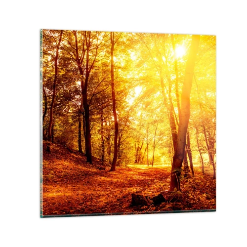 Impression sur verre - Image sur verre - Vers la clairière dorée - 70x70 cm