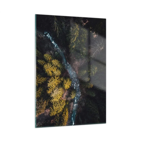 Impression sur verre - Image sur verre - Vue aérienne d'un paysage forestier avec un ruisseau sinueux - 50x70cm - De plus en plus vite - Décoration murale moderne pour le salon et la chambre ARTTOR