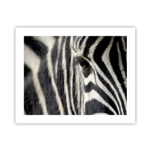 Affiche - Poster - Portrait en rayure - 50x40 cm