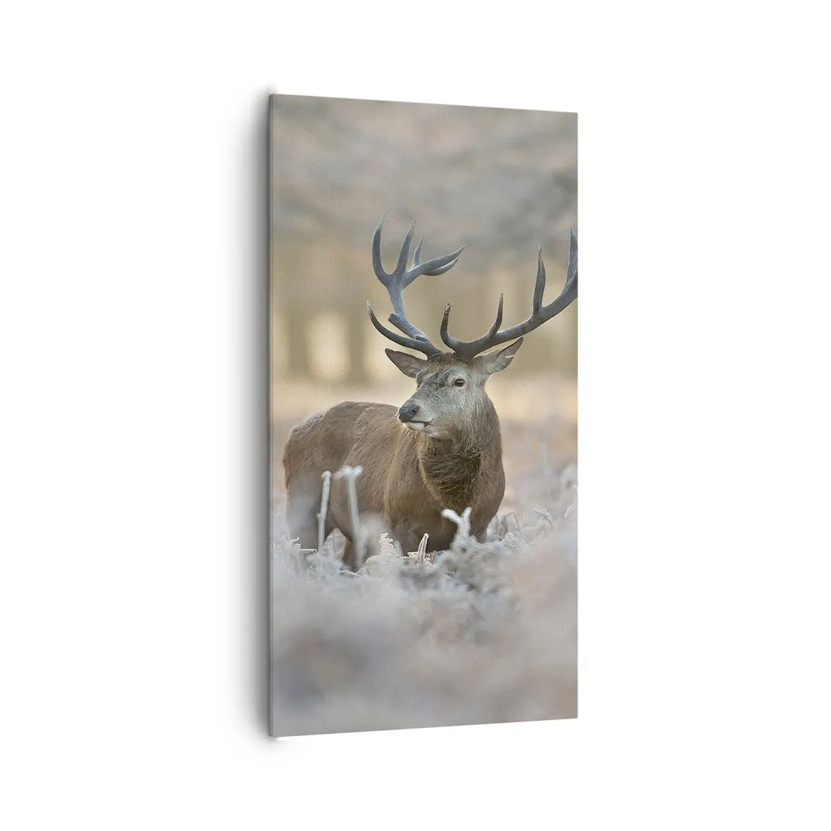 Impression sur toile - Image sur toile - Une matinée animée - 65x120 cm