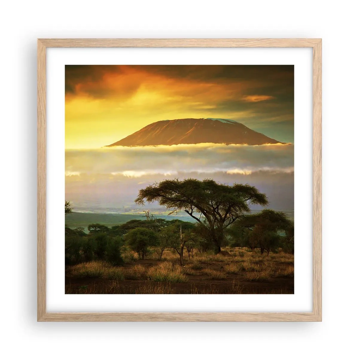 Affiche dans un chêne clair - Poster - Un rêve de voyageur - 50x50 cm