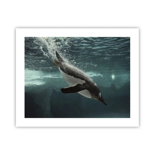 Affiche - Poster - Bienvenue dans mon monde - 50x40 cm