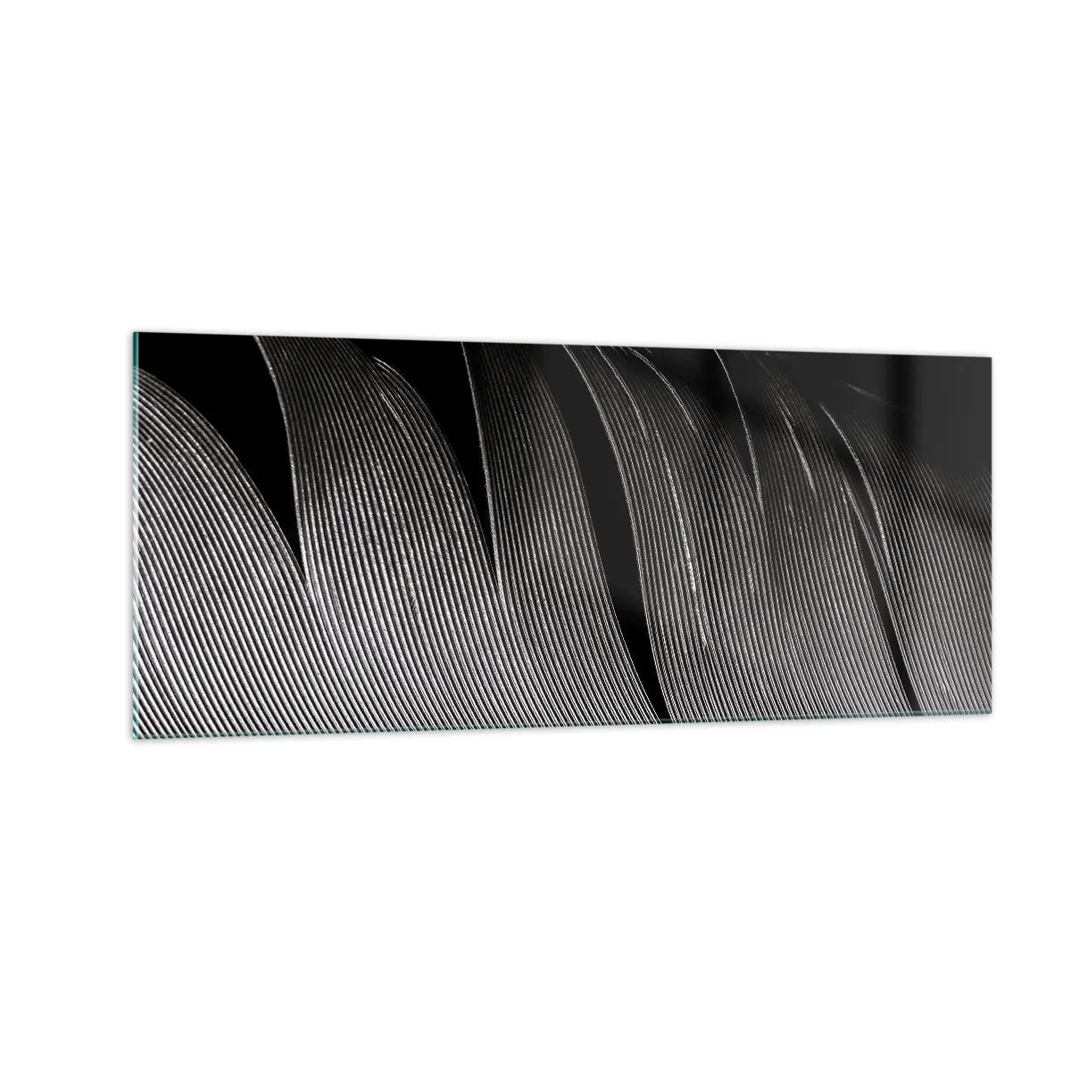 Impression sur verre - Image sur verre - La plume – un design magnifique - 100x40 cm