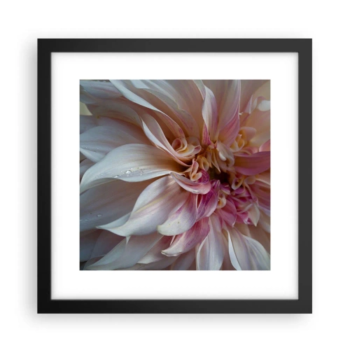 Affiche dans un cadre noir - Poster - Fraîcheur fleurissante - 30x30 cm