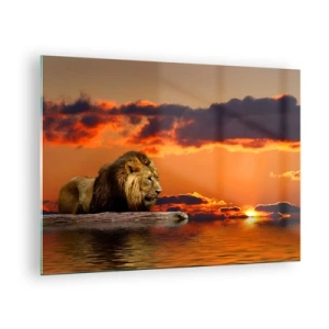 Impression sur verre - Image sur verre - Un lion sur fond de soleil couchant - 70x50cm - Le roi de la nature - Décoration murale moderne pour le salon et la chambre ARTTOR