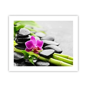 Affiche - Poster - Dans un équilibre de calme - 50x40 cm