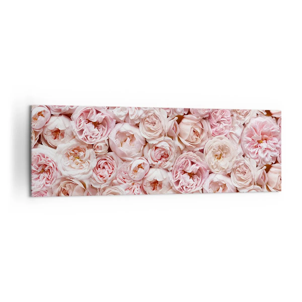 Impression sur toile - Image sur toile - Des roses délicates dans des tons de rose sur toute la surface - 160x50cm - Un lit de roses - Décoration murale moderne pour le salon et la chambre ARTTOR