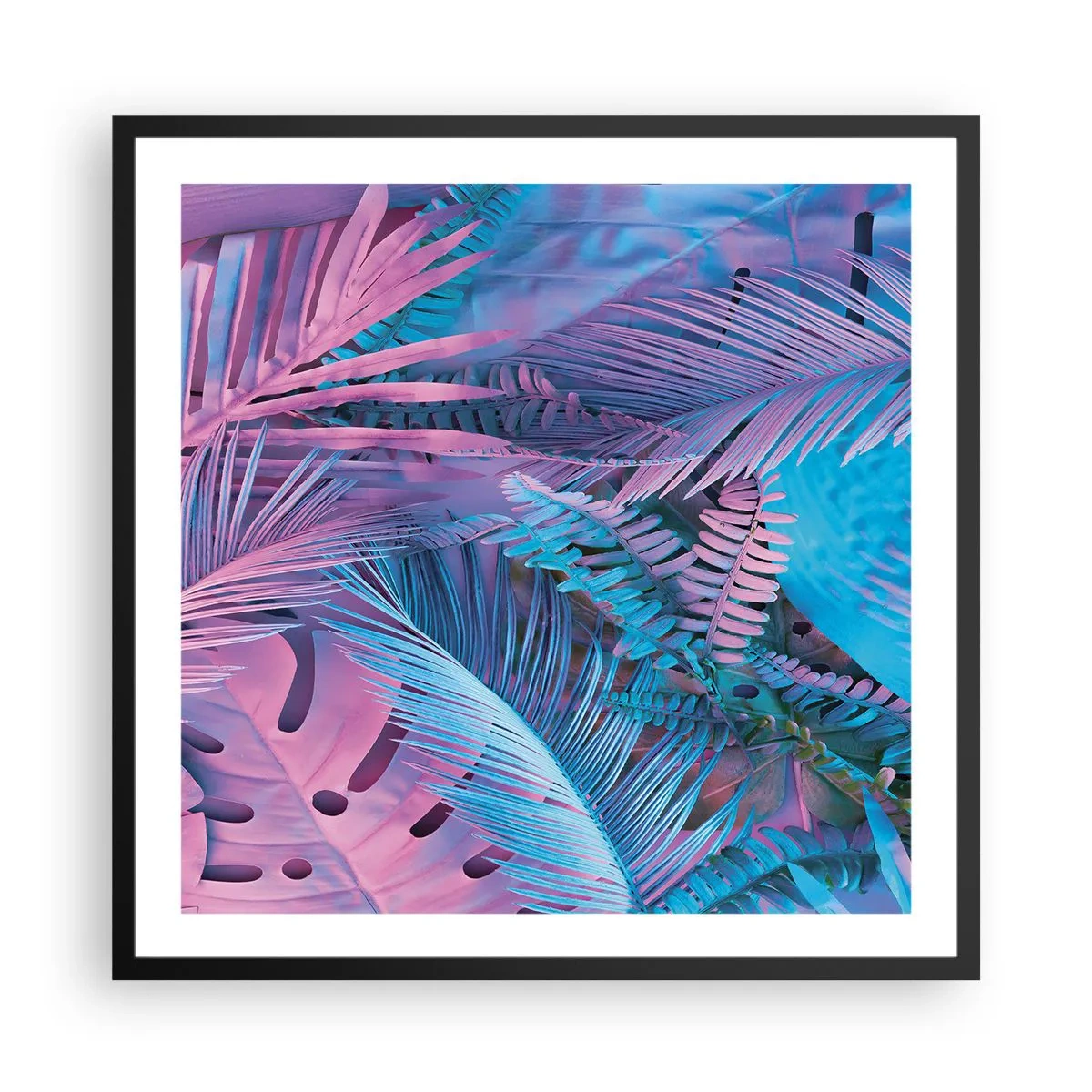 Affiche dans un cadre noir - Poster - Les tropiques en rose et bleu - 60x60 cm