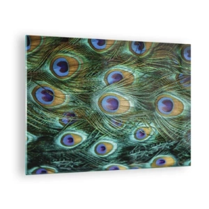 Impression sur verre - Image sur verre - Détail des plumes de paon avec des yeux distincts - 70x50cm - Un regard de paon - Décoration murale moderne pour le salon et la chambre ARTTOR