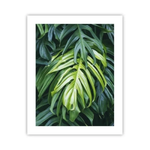 Affiche - Poster - Immergez-vous dans la fraîcheur - 40x50 cm