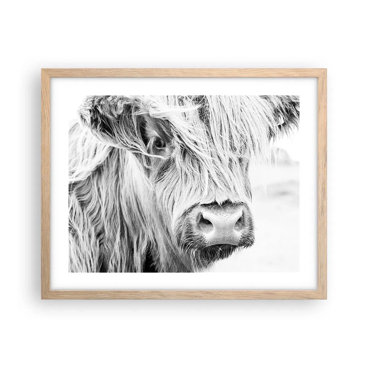 Affiche dans un chêne clair - Poster - Sauvagerie écossaise - 50x40 cm