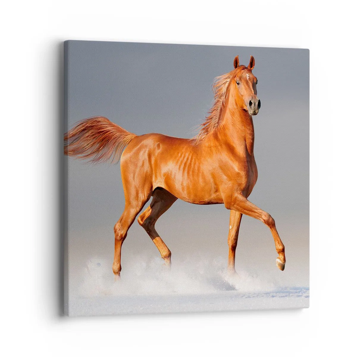 Impression sur toile - Image sur toile - La grâce dansante - 40x40 cm