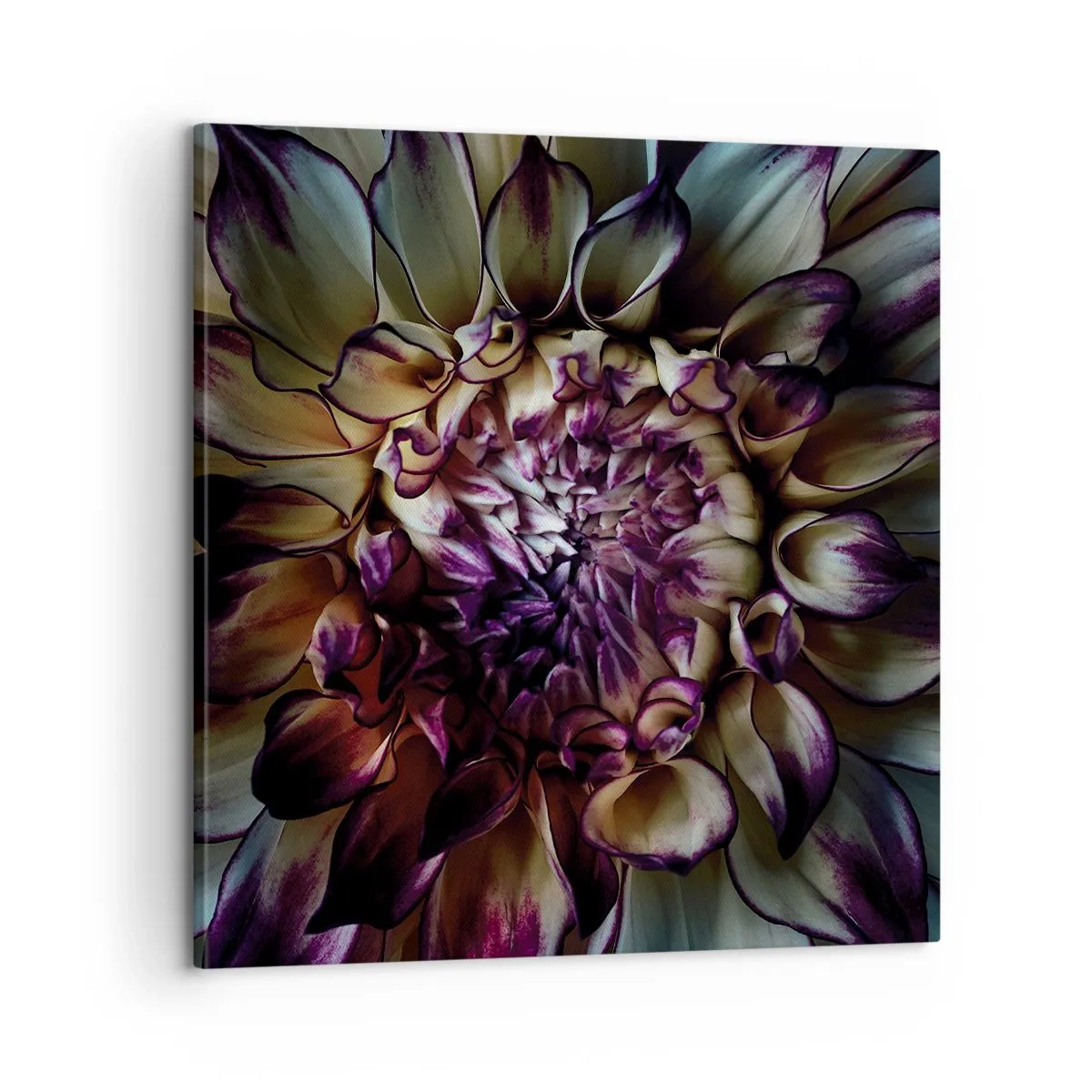 Impression sur toile - Image sur toile - L'apogée de la jeunesse - 60x60 cm