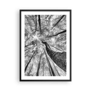 Affiche dans un cadre noir - Poster - Perspective d'arbres en noir et blanc - 50x70cm - Course vers la lumière - Décoration murale moderne pour le salon et la chambre ARTTOR