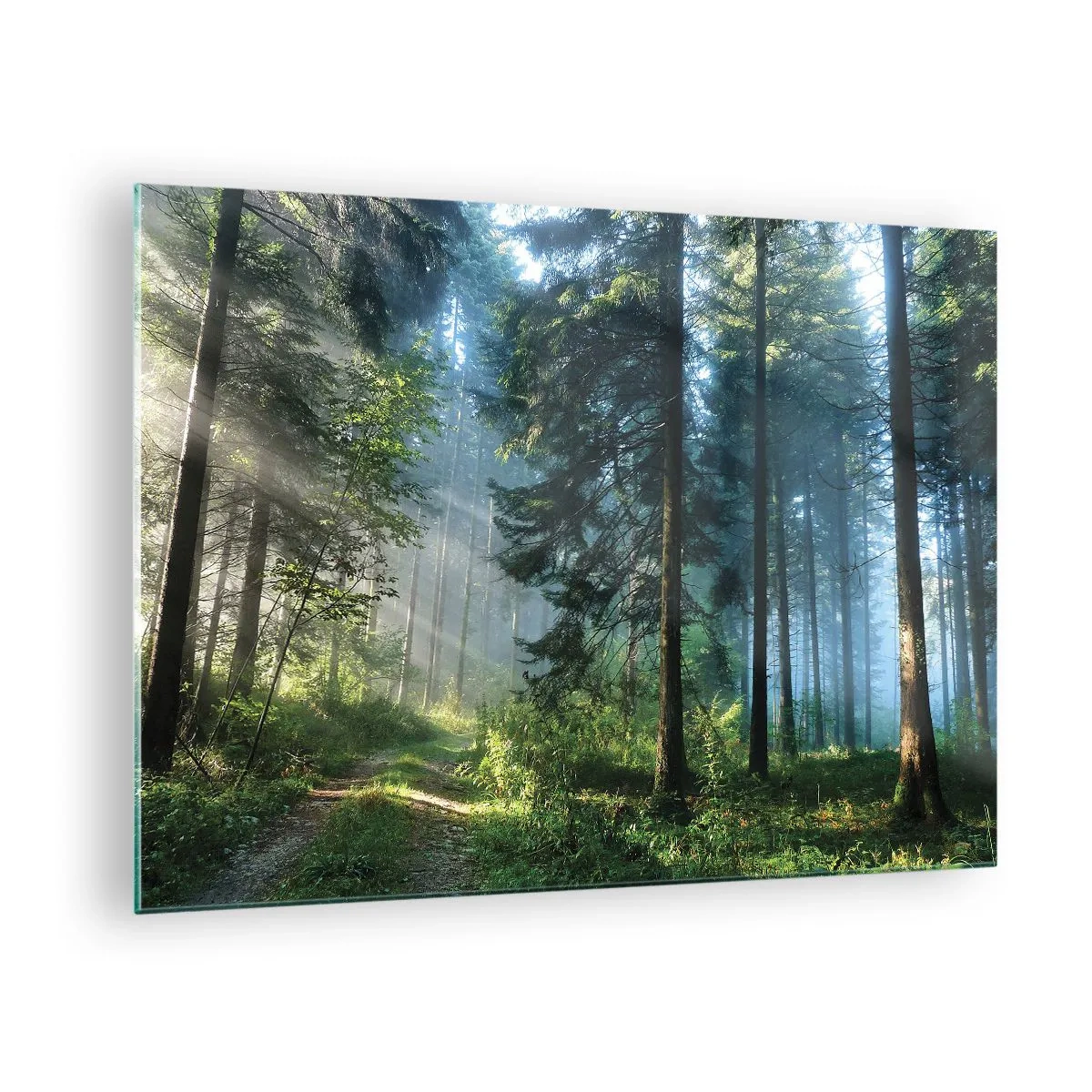 Impression sur verre - Image sur verre - Un chemin forestier dans la brume matinale parmi de grands arbres - 70x50cm - Rayonnant le matin - Décoration murale moderne pour le salon et la chambre ARTTOR