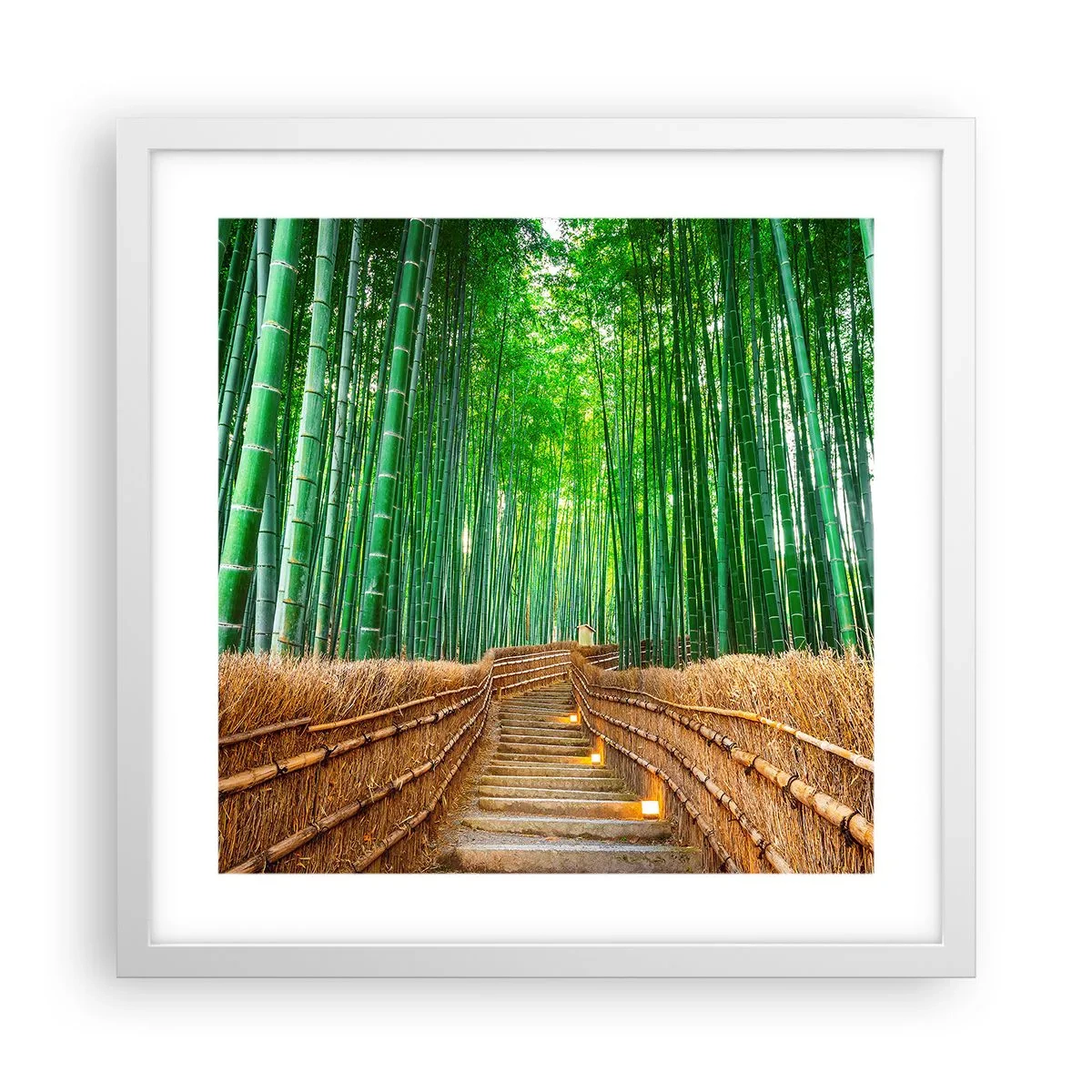 Affiche dans un cadre blanc - Poster - L'essence de la nature asiatique - 40x40 cm