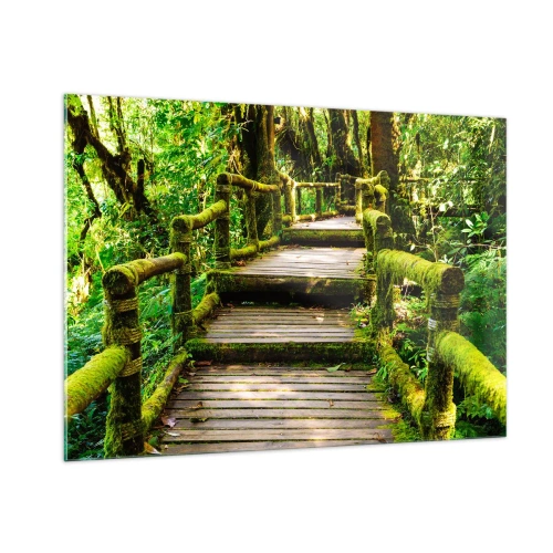 Impression sur verre - Image sur verre - Un chemin en bois dans une forêt verte couverte de mousse - 100x70cm - Un couloir de verdure - Décoration murale moderne pour le salon et la chambre ARTTOR