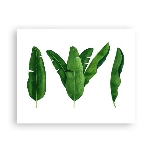 Affiche - Poster - Symétrie verte - 50x40 cm