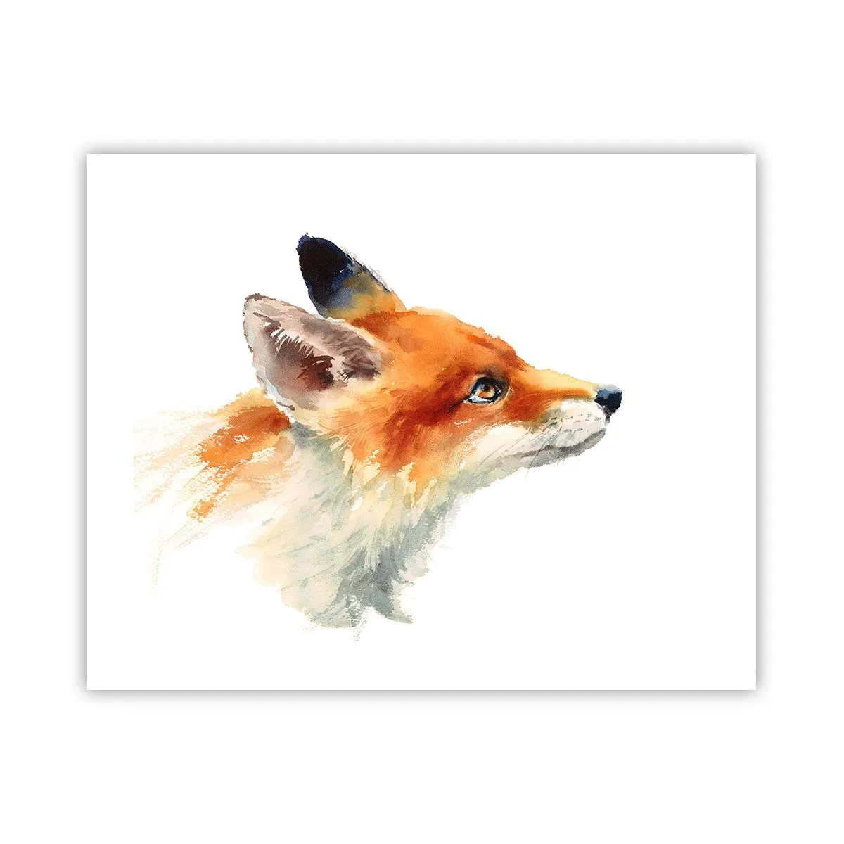 Affiche - Poster - Vous ne pouvez jamais être trop prudent - 50x40 cm