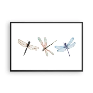 Affiche dans un cadre noir - Poster - Libellules en apesanteur - 91x61 cm