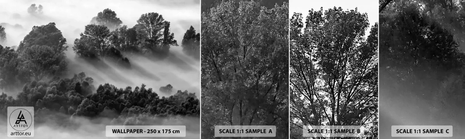 Échantillon de Papier Peint Autocollant Deluxe Sticker - Sortir de son sommeil - Paysage, Forêt, Brouillard - 100x30 cm