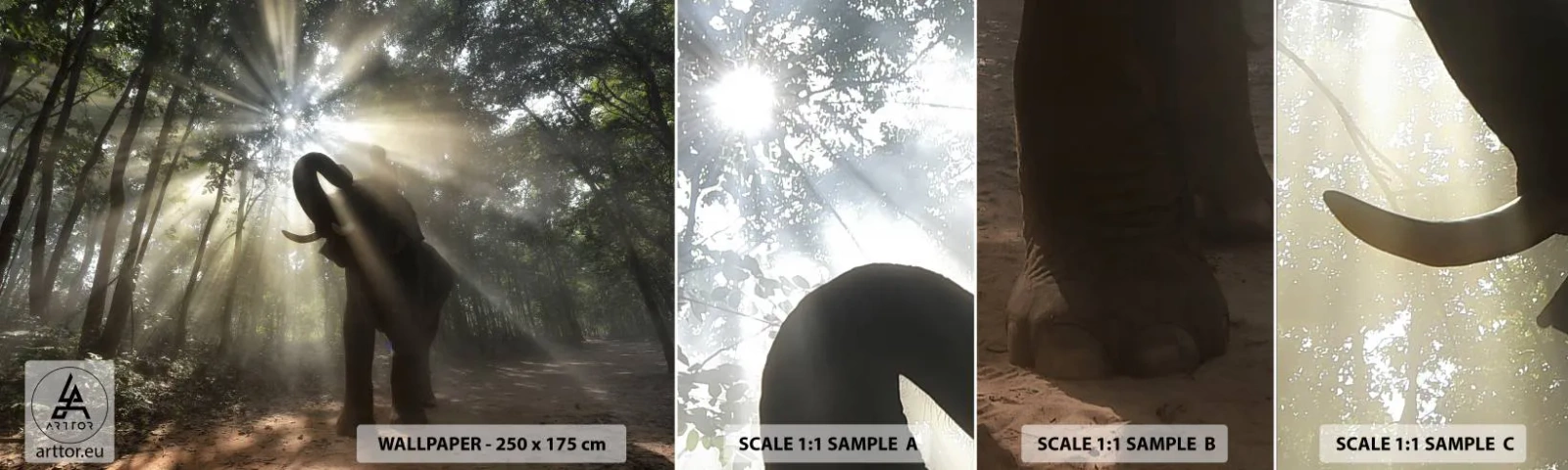 Échantillon de Papier Peint Autocollant Deluxe Sticker - Sous la bonne étoile - Paysage, Éléphant, Jungle - 100x30 cm