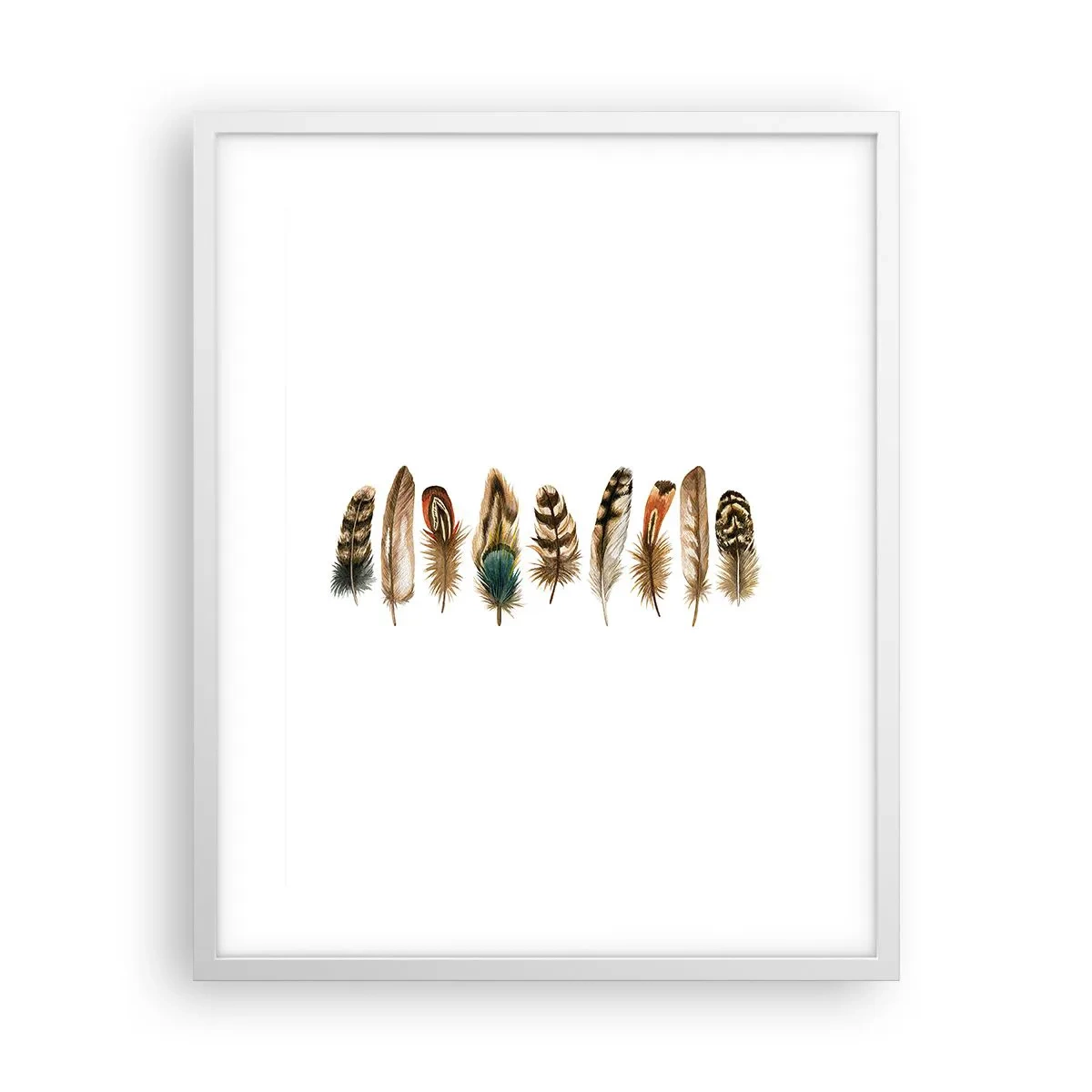 Affiche dans un cadre blanc - Poster - Variation à plumes - 40x50 cm