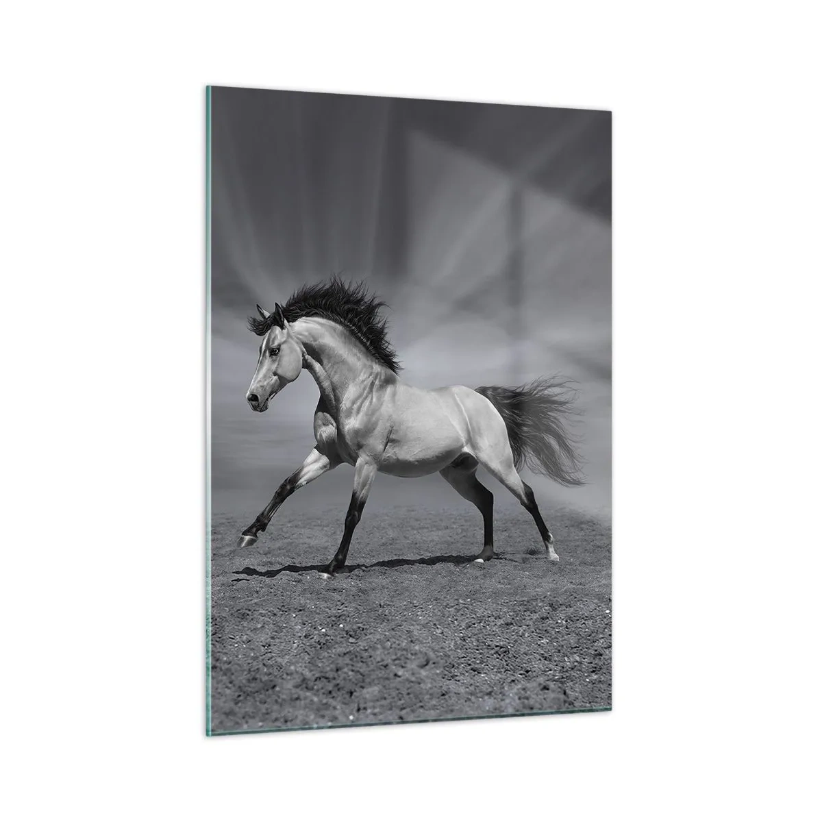 Impression sur verre - Image sur verre - Une photo en noir et blanc d'un cheval galopant dans un champ ouvert. - 50x70cm - Né pour séduire - Décoration murale moderne pour le salon et la chambre ARTTOR