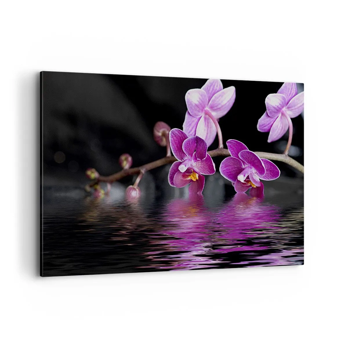 Impression sur toile - Image sur toile - Orchidées violettes sur une eau calme sur fond noir - 120x80cm - Reflet lilas de la beauté - Décoration murale moderne pour le salon et la chambre ARTTOR