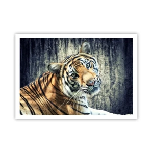 Affiche - Poster - Un tigre couché contre un mur à la texture rugueuse - 100x70cm - Portrait dans les flots de lumière - Décoration murale moderne pour le salon et la chambre ARTTOR