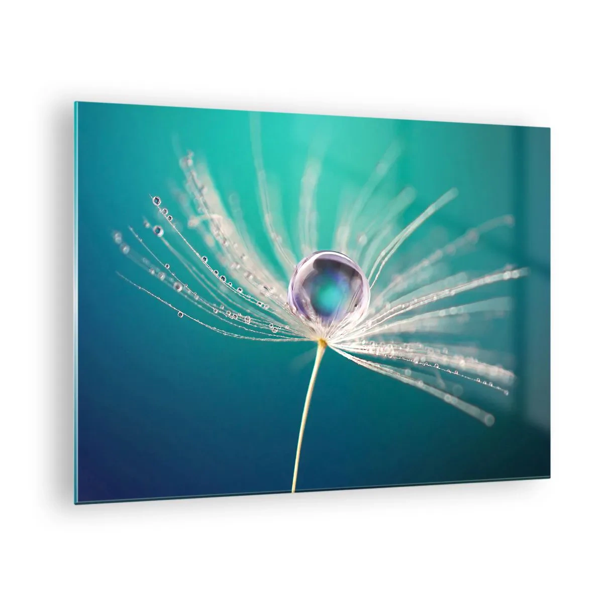Impression sur verre - Image sur verre - Macrophotographie d'une graine de pissenlit avec une goutte de rosée sur un fond turquoise - 70x50cm - Moment mystique - Décoration murale moderne pour le salon et la chambre ARTTOR