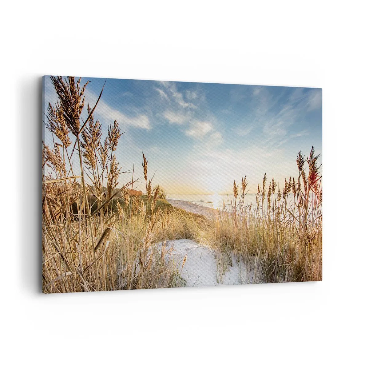 Impression sur toile - Image sur toile - Une plage pittoresque avec de l'herbe et le soleil couchant - 100x70cm - Plage du nord - Décoration murale moderne pour le salon et la chambre ARTTOR