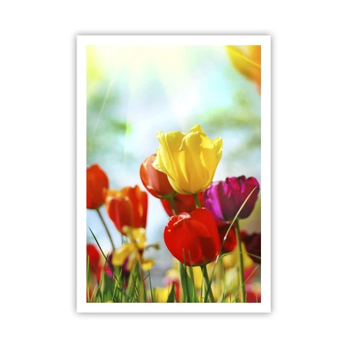 Affiche - Poster - Toutes les couleurs du soleil - 70x100 cm