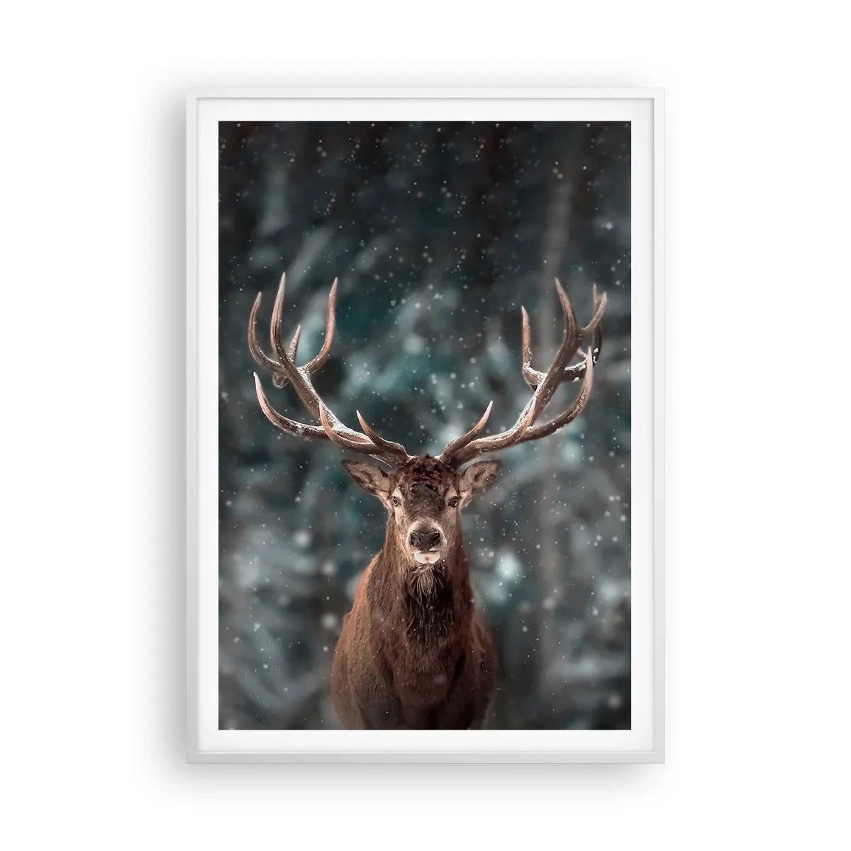 Affiche dans un cadre blanc - Poster - Roi de la forêt couronné - 70x100 cm