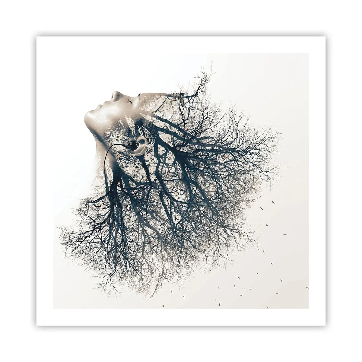 Affiche - Poster - Écouter le murmure des arbres - 60x60 cm