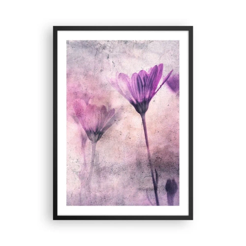 Affiche dans un cadre noir - Poster - Fleurs délicates dans des tons de rose et de violet sur un fond clair - 50x70cm - Rêve de fleurs - Décoration murale moderne pour le salon et la chambre ARTTOR