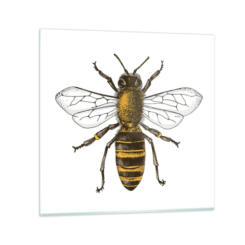 Impression sur verre - Image sur verre - Belle et bonne - 70x70 cm