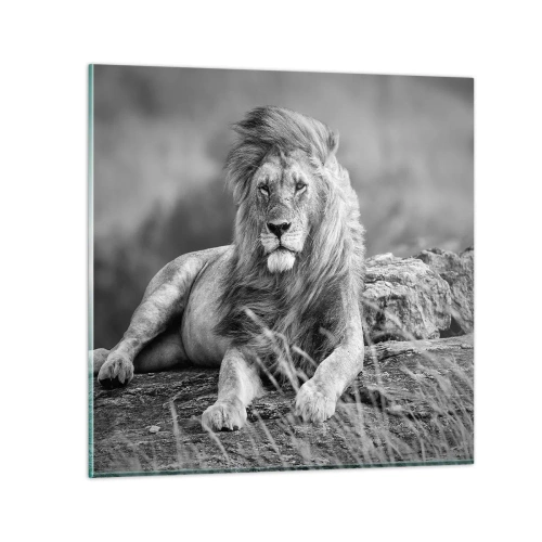 Impression sur verre - Image sur verre - Sieste royale - 30x30 cm