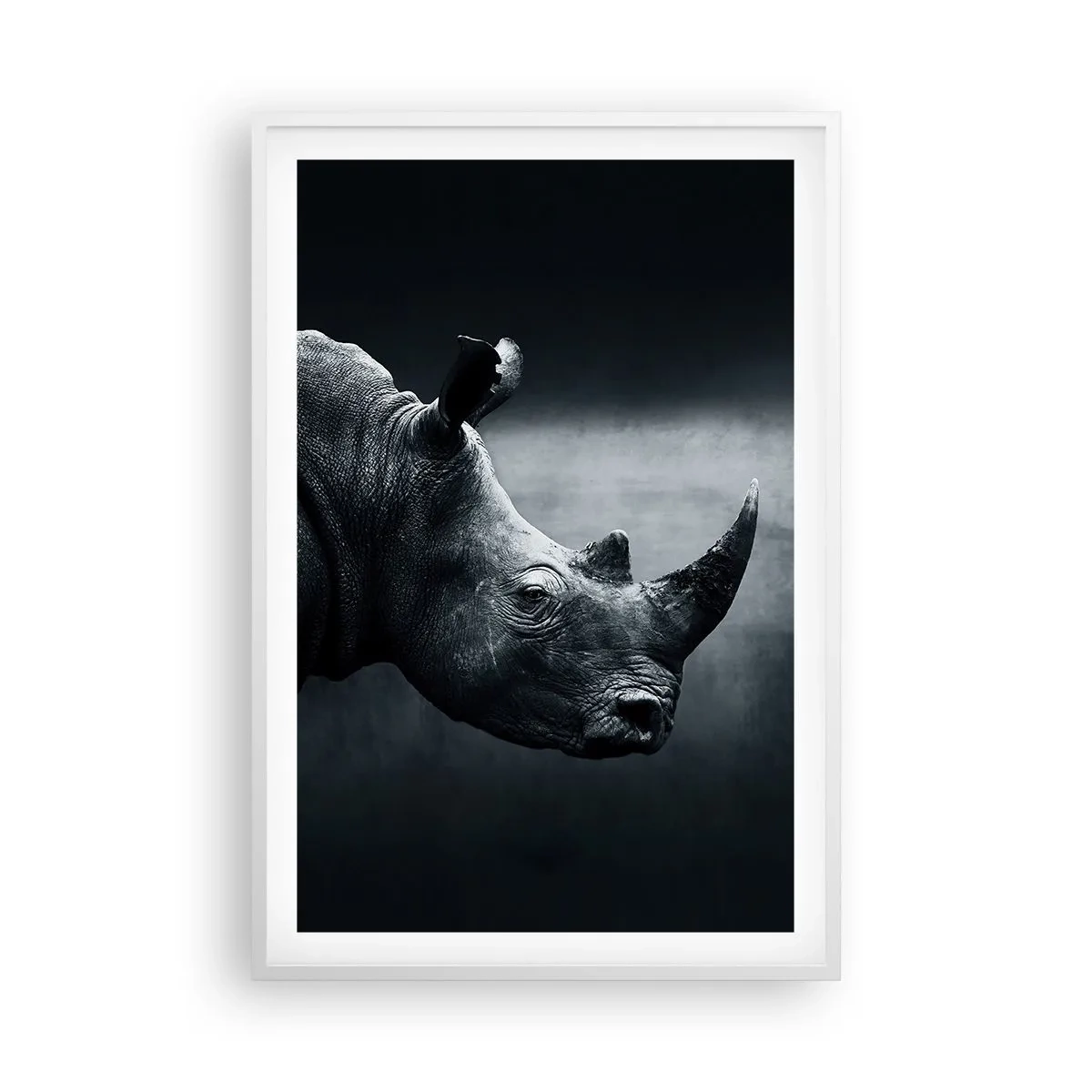 Affiche dans un cadre blanc - Poster - Le profil droit - 61x91 cm