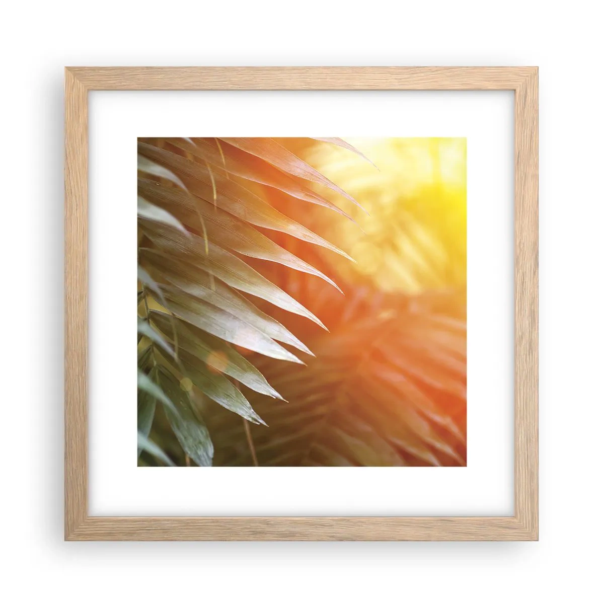 Affiche dans un chêne clair - Poster - Matinée dans la jungle - 30x30 cm