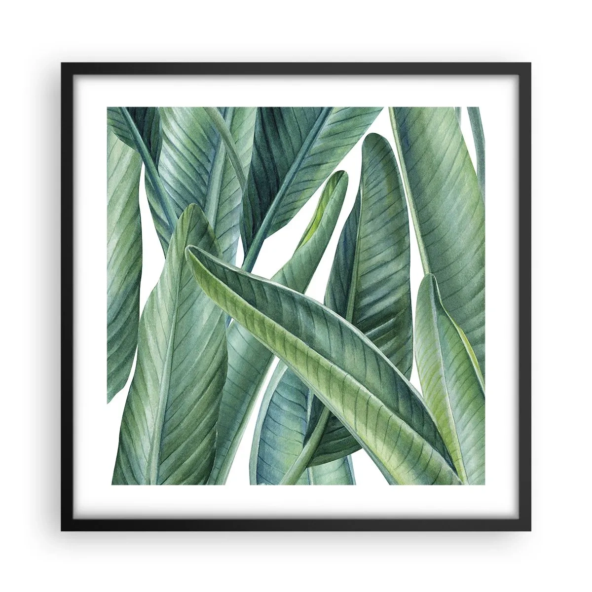 Affiche dans un cadre noir - Poster - La nature face à elle-même - 50x50 cm