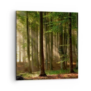 Impression sur toile - Image sur toile - Rayon d'un matin de printemps - 70x70 cm