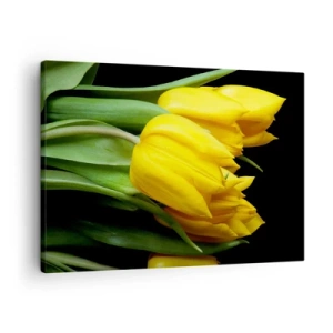 Impression sur toile - Image sur toile - Un bouquet de tulipes jaunes sur fond noir - 70x50cm - Lever de soleil pur - Décoration murale moderne pour le salon et la chambre ARTTOR
