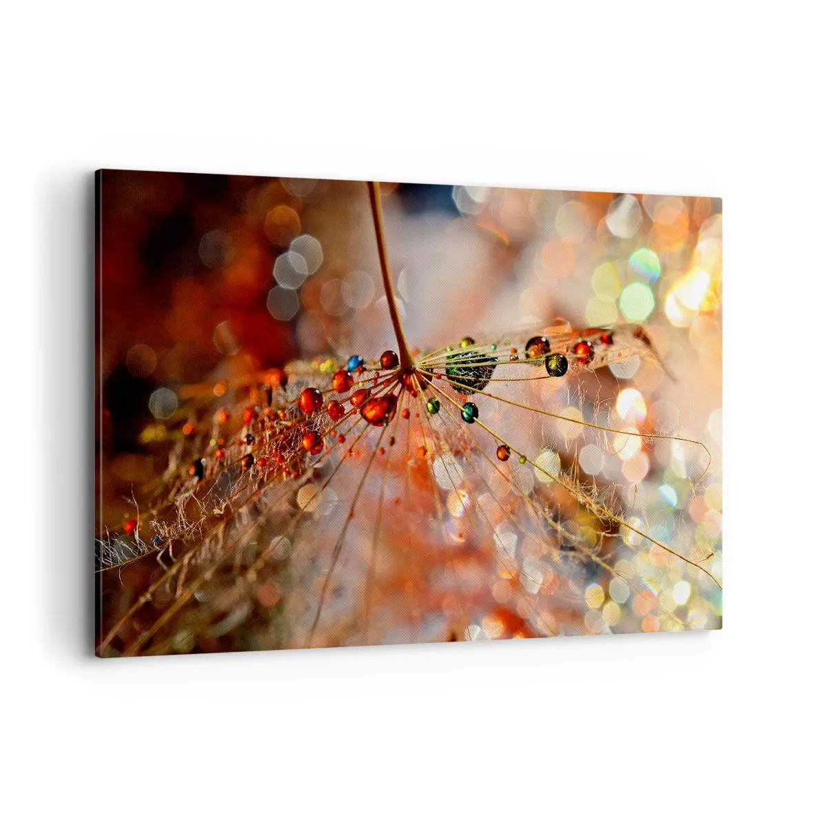 Impression sur toile - Image sur toile - Macrophotographie d'une goutte d'eau sur une plante délicate - 120x80cm - Enfilé sur un fil d'araignée - Décoration murale moderne pour le salon et la chambre ARTTOR