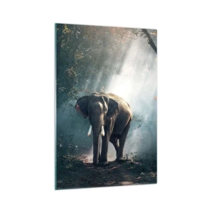 Impression sur verre - Image sur verre - Éléphant dans la lumière de la forêt - 70x100cm - Une balade tranquille - Décoration murale moderne pour le salon et la chambre ARTTOR