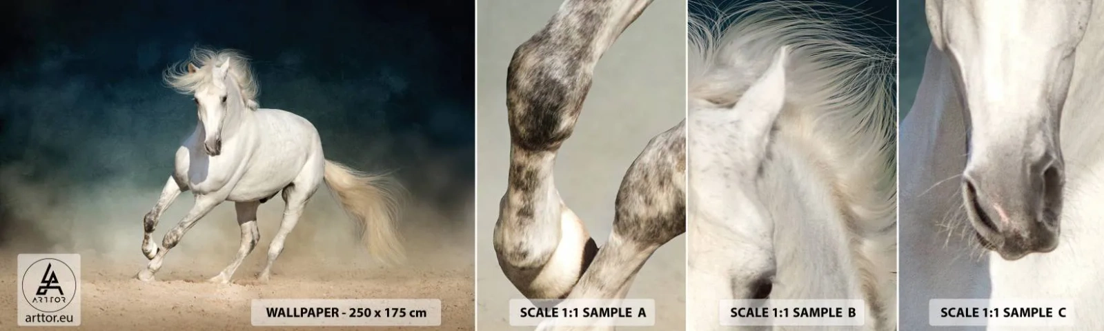 Échantillon de Papier Peint Autocollant Deluxe Sticker - La liberté à l'état pur - Cheval, Animal, Blanc - 100x30 cm