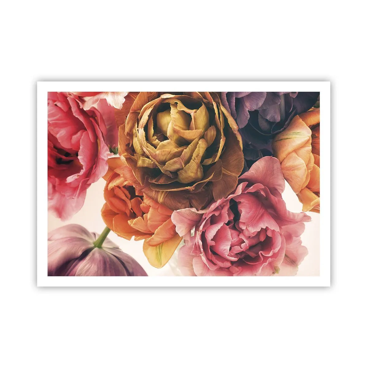 Affiche - Poster - Un bouquet de fleurs variées aux couleurs intenses - 100x70cm - La fête de la vie - Décoration murale moderne pour le salon et la chambre ARTTOR