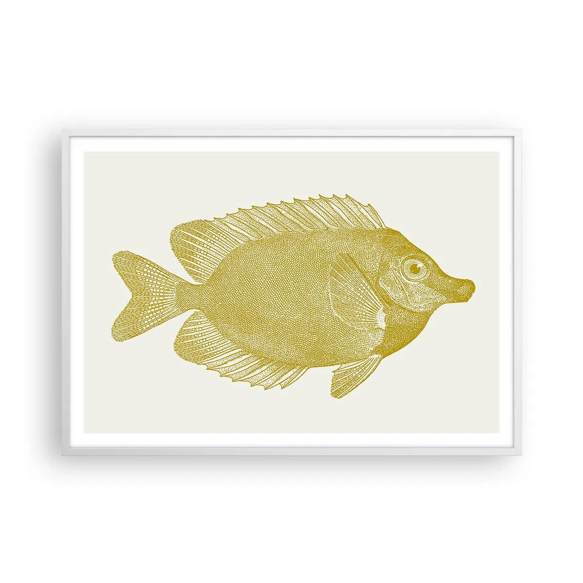 Affiche dans un cadre blanc - Poster - Du poisson et c'est tout - 100x70 cm