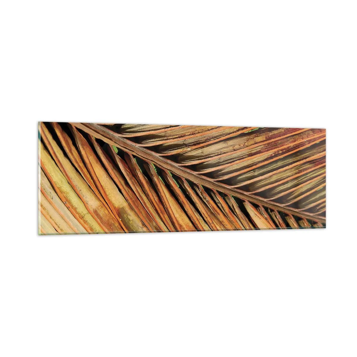 Impression sur verre - Image sur verre - Or de noix de coco - 90x30 cm