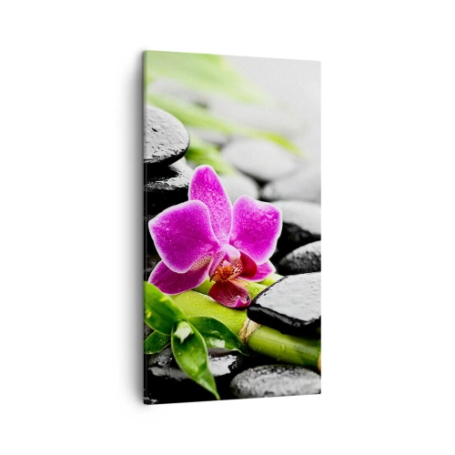 Impression sur toile - Image sur toile - Dans un équilibre de calme - 45x80 cm